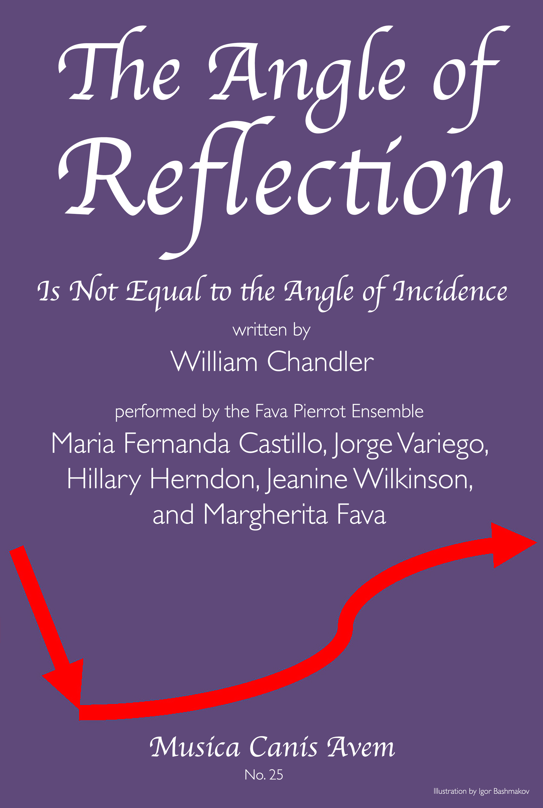 Cover image for The Angle of Reflection
